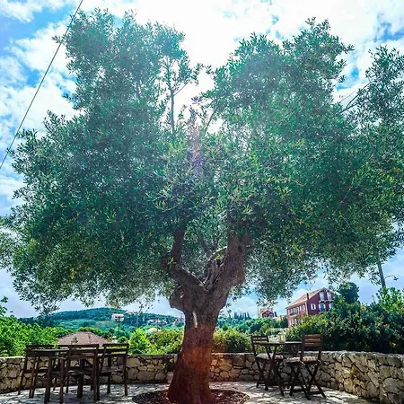 Maniata Apartament Antipata (Erisos)