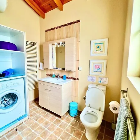 Maniata Antipata (Erisos)